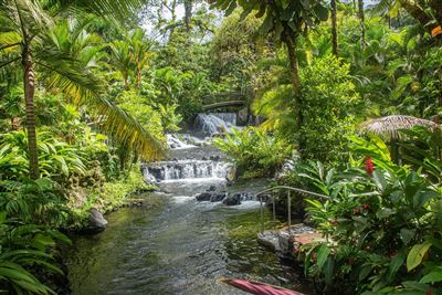 La Fortuna Quellen